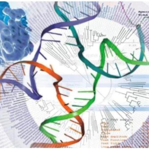 bioinformatics 19-20